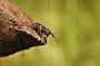 IMG_073b