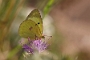 IMG_092m
