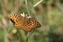 IMG_107m