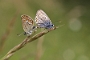 IMG_128m