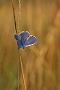 IMG_169m