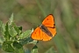 IMG_171m