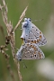 IMG_214m