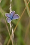 IMG_238m