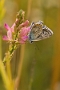 IMG_254m