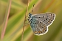 IMG_263m