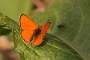IMG_278m