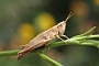 IMG_017rk